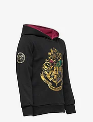 Harry Potter - SWEAT - hoodies - black - 3