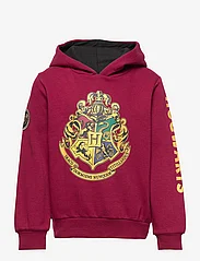 Harry Potter - SWEAT - džemperiai su gobtuvu - dark red - 0