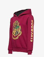 Harry Potter - SWEAT - džemperiai su gobtuvu - dark red - 2