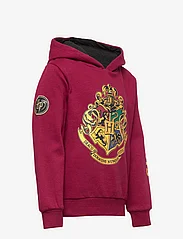 Harry Potter - SWEAT - džemperiai su gobtuvu - dark red - 3
