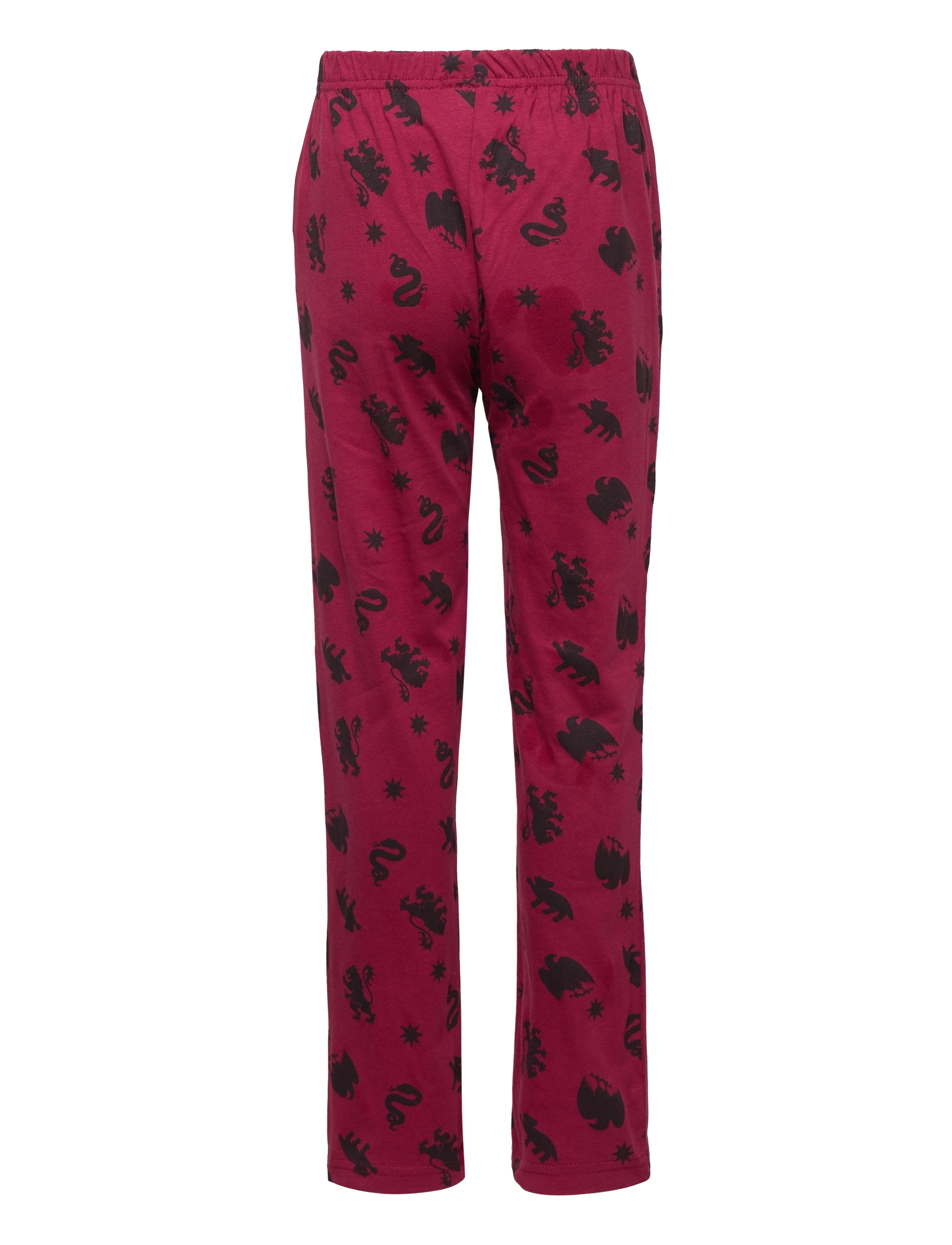 Harry Potter - Pyjalong - dark red - 3