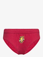 Harry Potter - BOX OF 3 BRIEFS - underpants - multi-coloured - 2