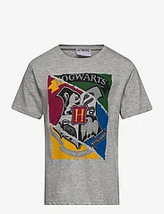 Harry Potter - SHORT-SLEEVED T-SHIRT - kortærmede t-shirts - light grey - 0