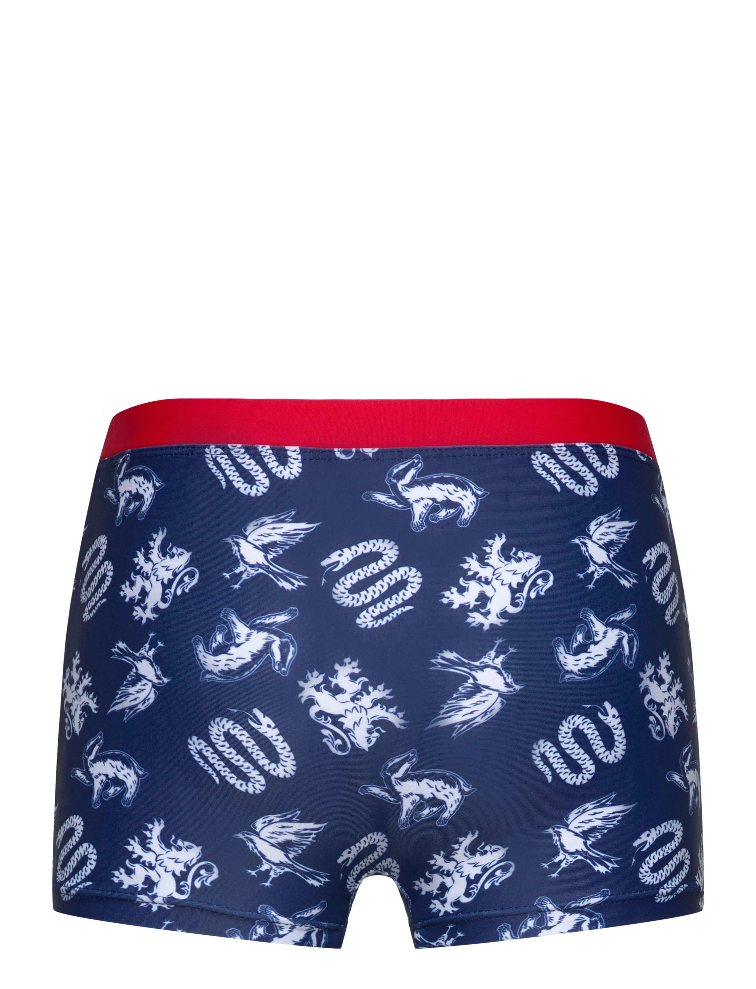 Harry Potter - SWIMSUIT - badeshorts - navy - 1