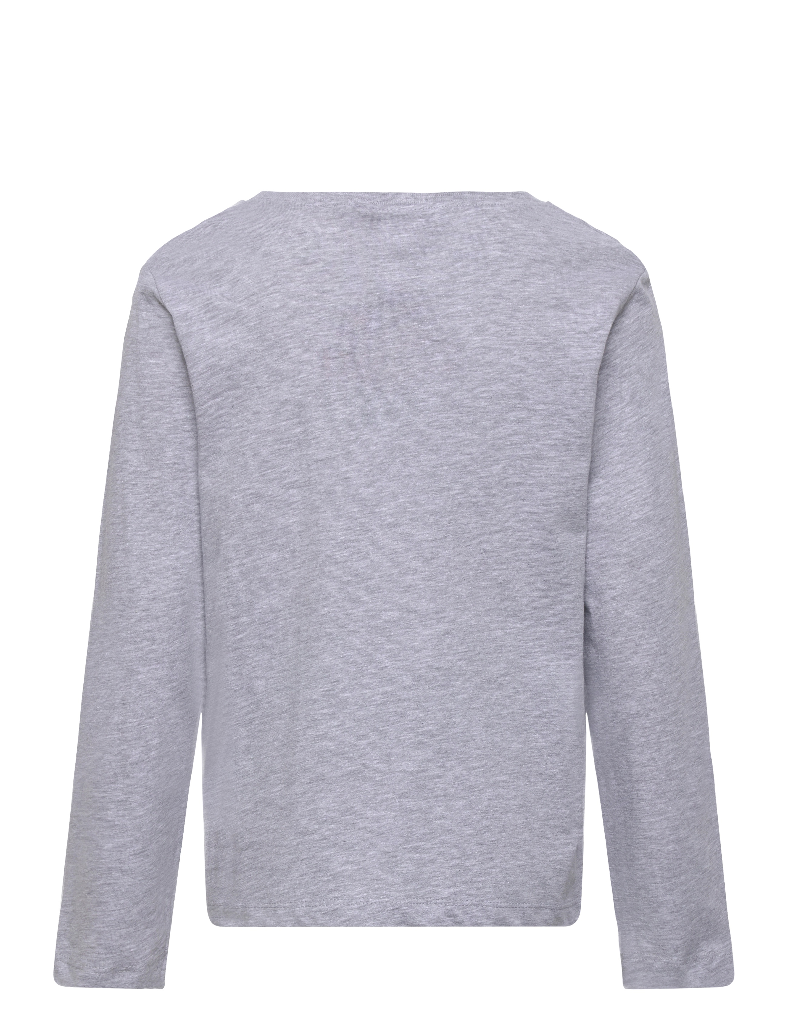 Sun City Jurassic Park - LONG-SLEEVED T-SHIRT - light grey - 1