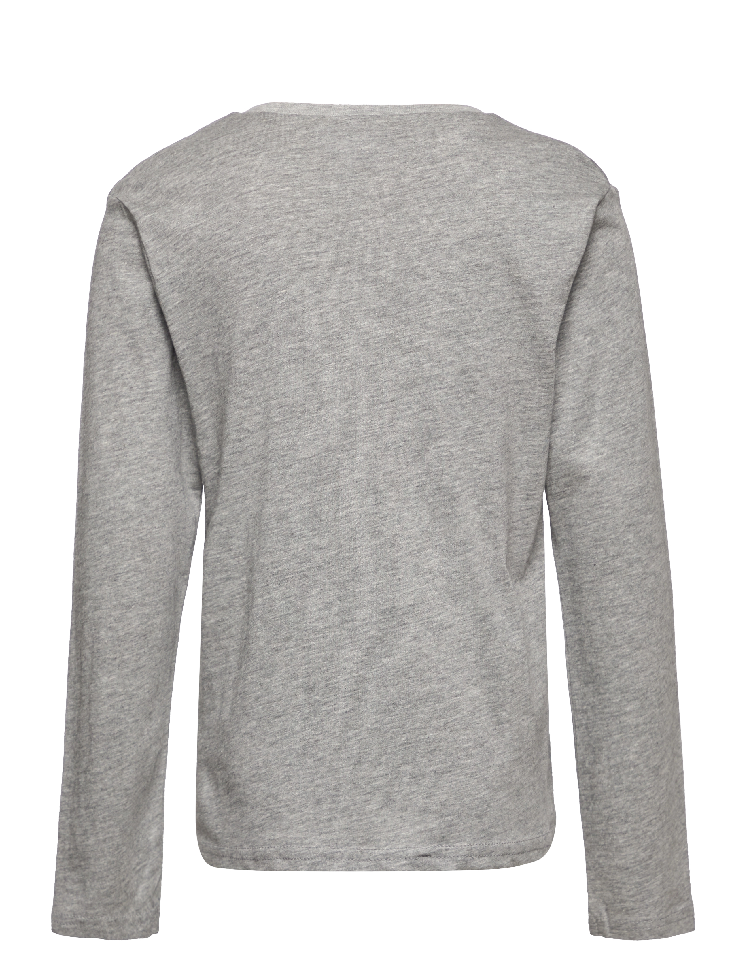 Sun City Jurassic Park - LONG-SLEEVED T-SHIRT - grey - 1