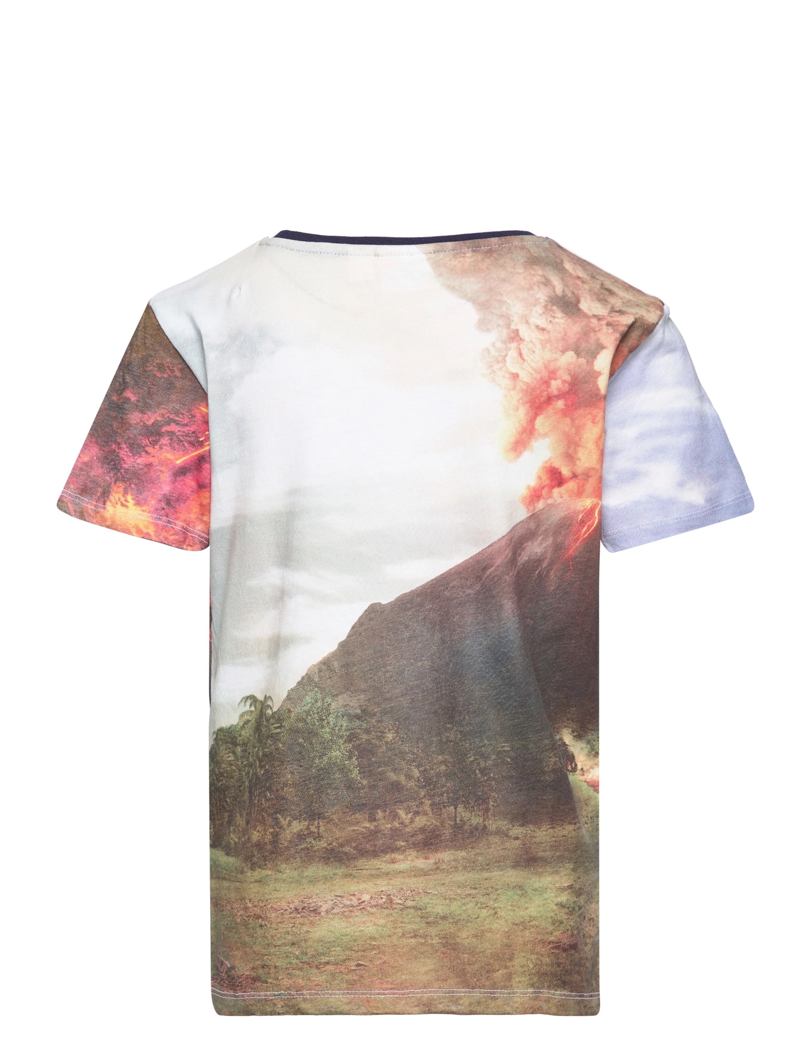 Sun City Jurassic Park - SHORT-SLEEVED T-SHIRT - grey - 1