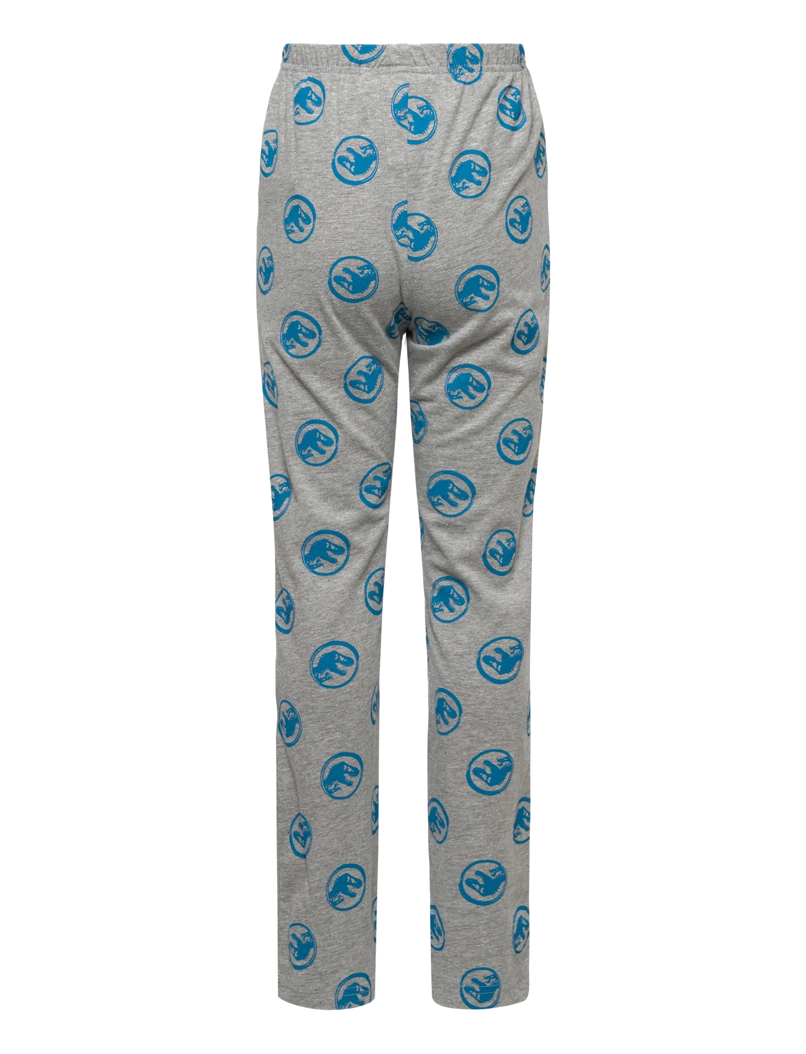 Sun City Jurassic Park - LONG PYJAMAS - blue - 3