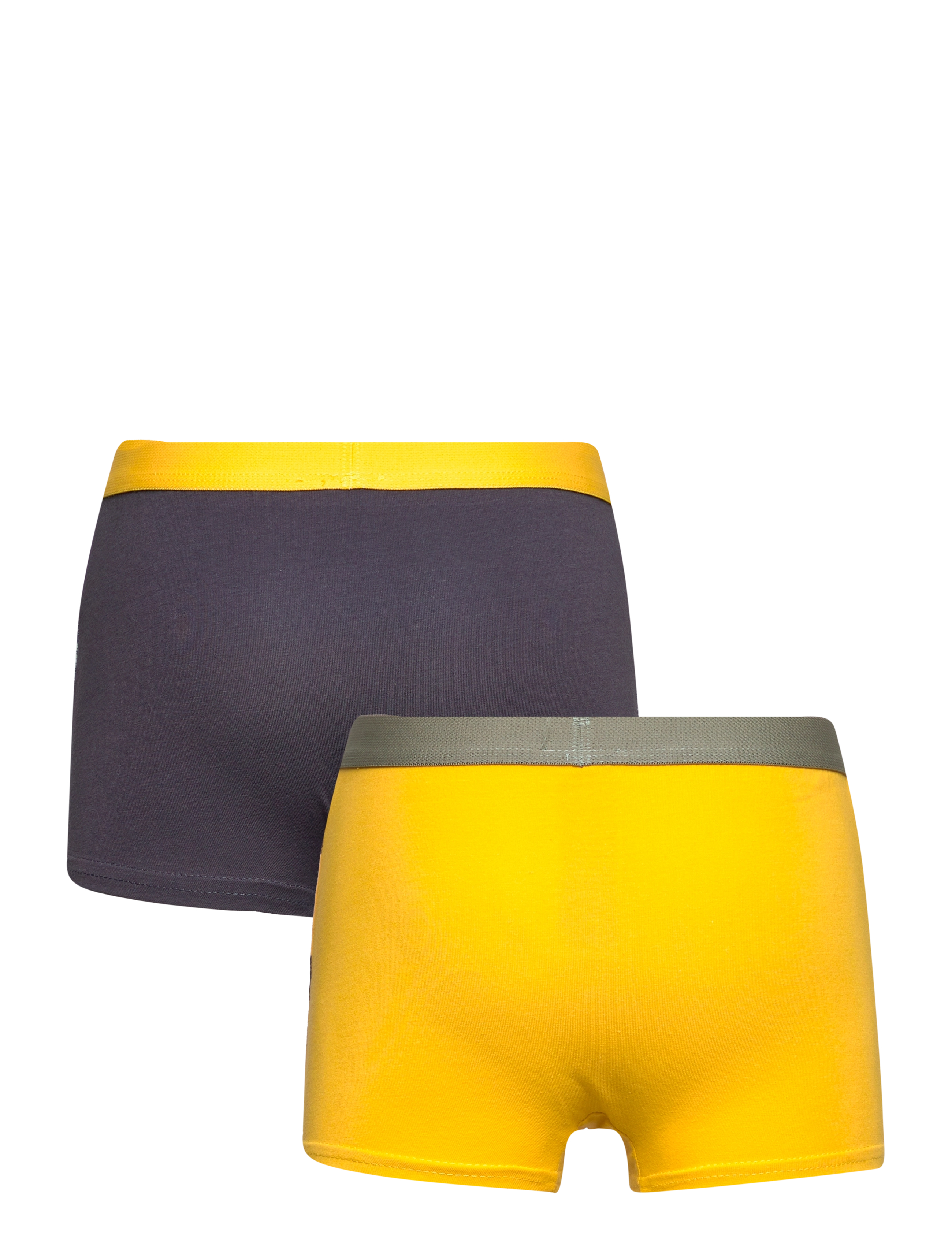 Sun City Jurassic Park - LOT OF 2 BOXERS - dark grey - 1