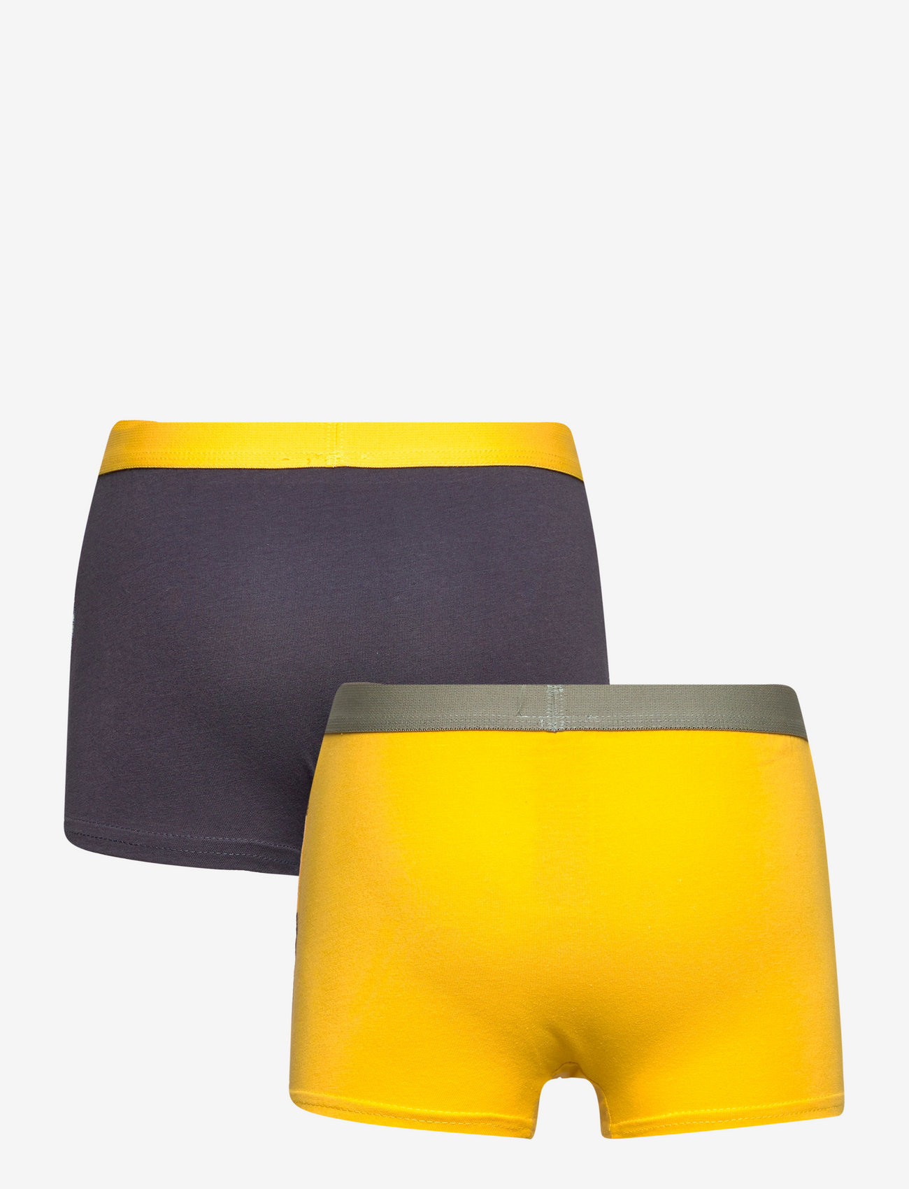 Sun City Jurassic Park - LOT OF 2 BOXERS - dark grey - 2