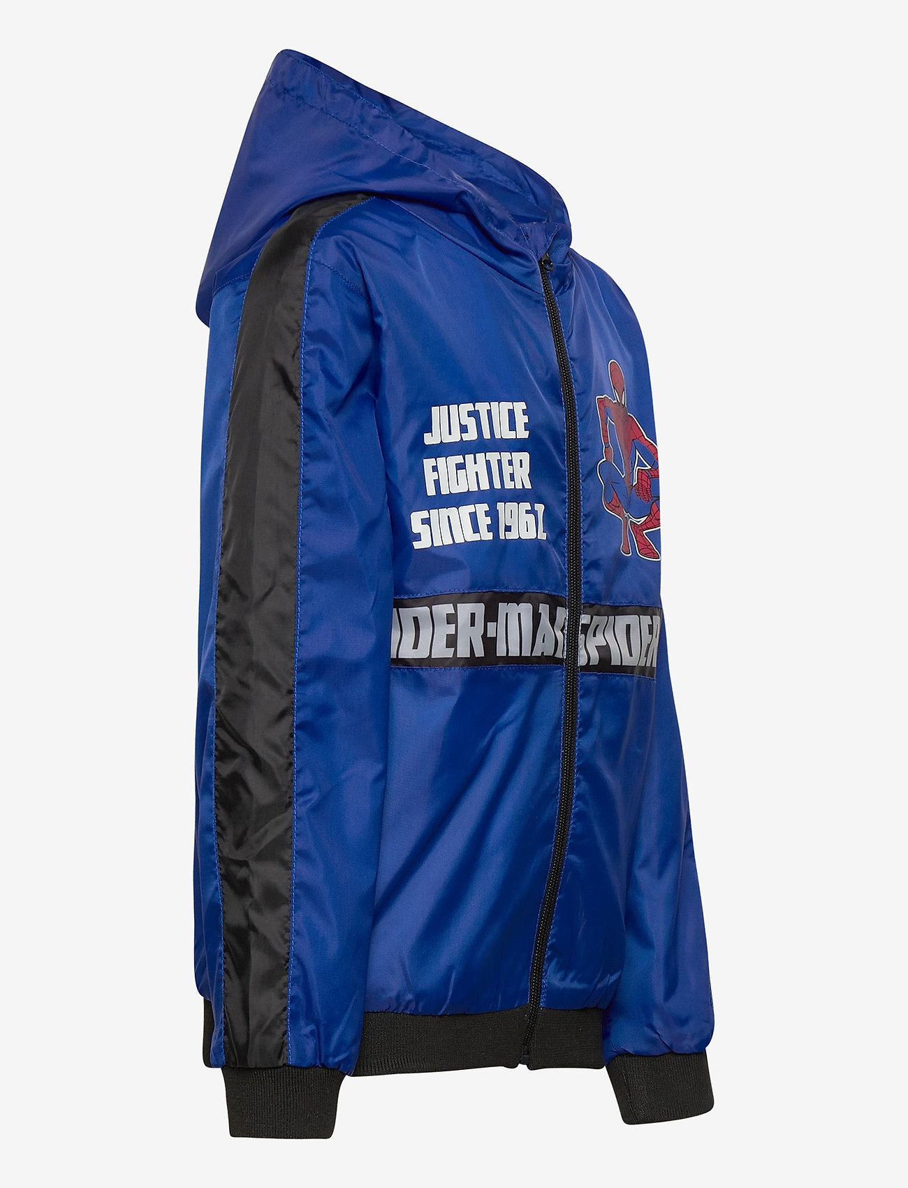 Marvel - BLOUSON - blue - 4