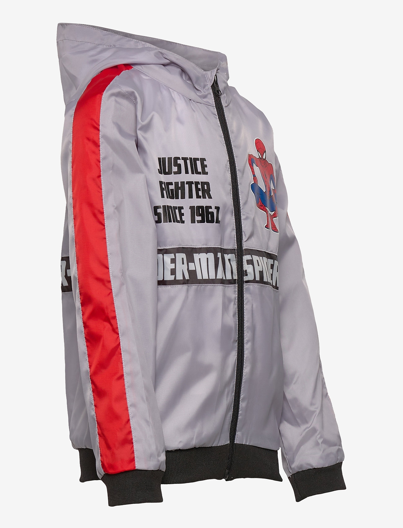 Marvel - BLOUSON - grey - 4