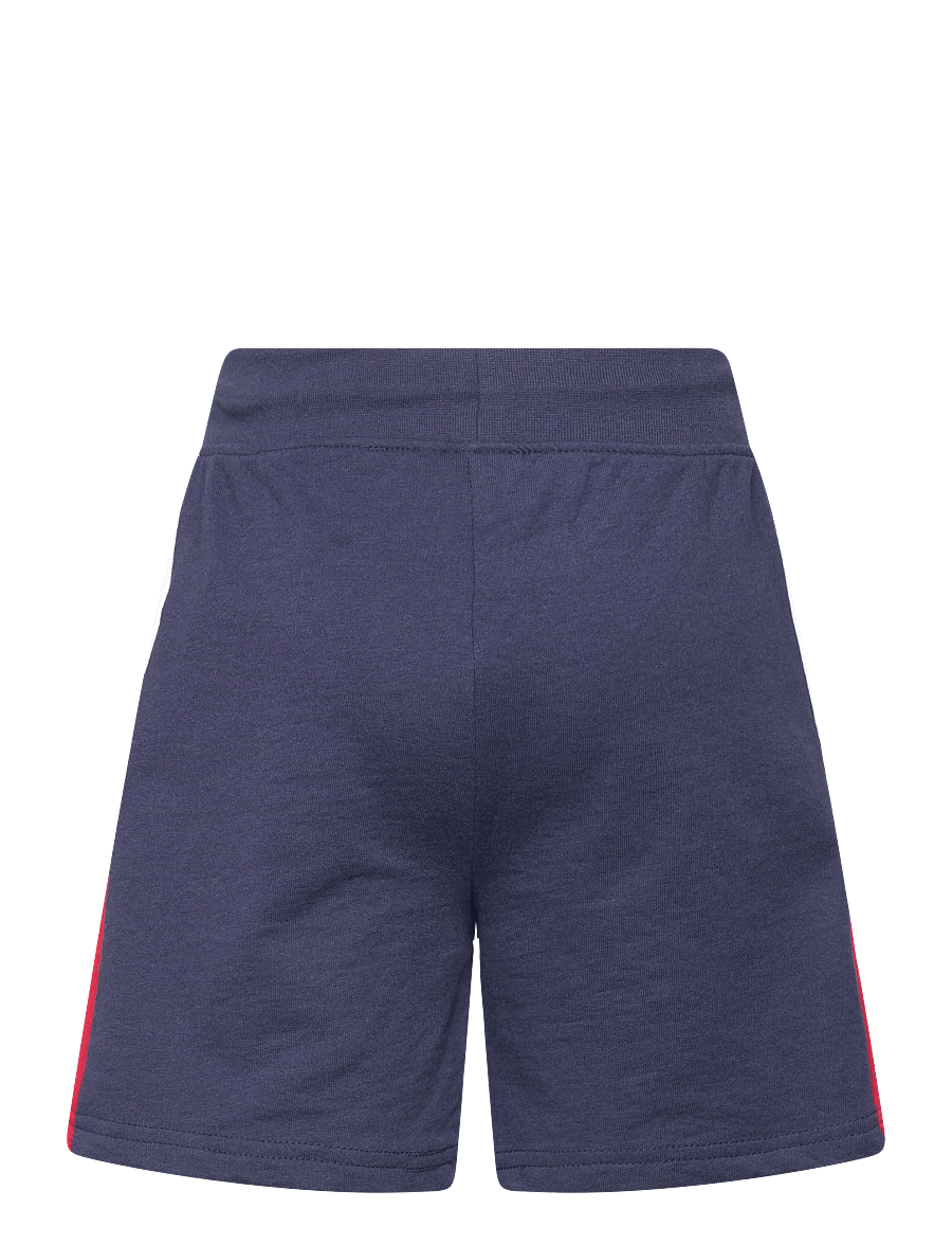 Spider-man - PANTS - sweatshorts - navy - 2