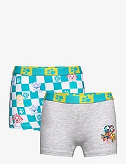 Paw Patrol - LOT OF 2 BOXERS - underpants - white - 0