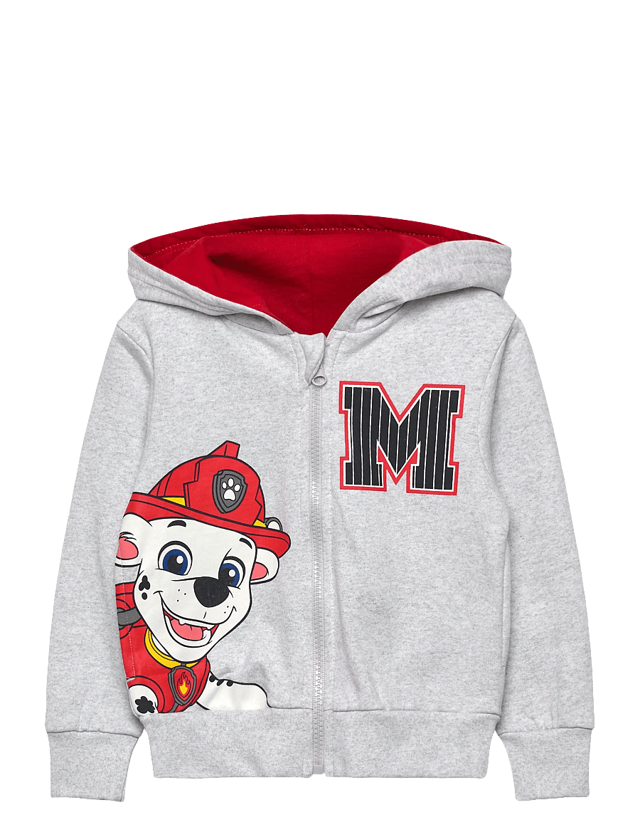 Paw Patrol - SWEATS - hoodies - lgrey - 1