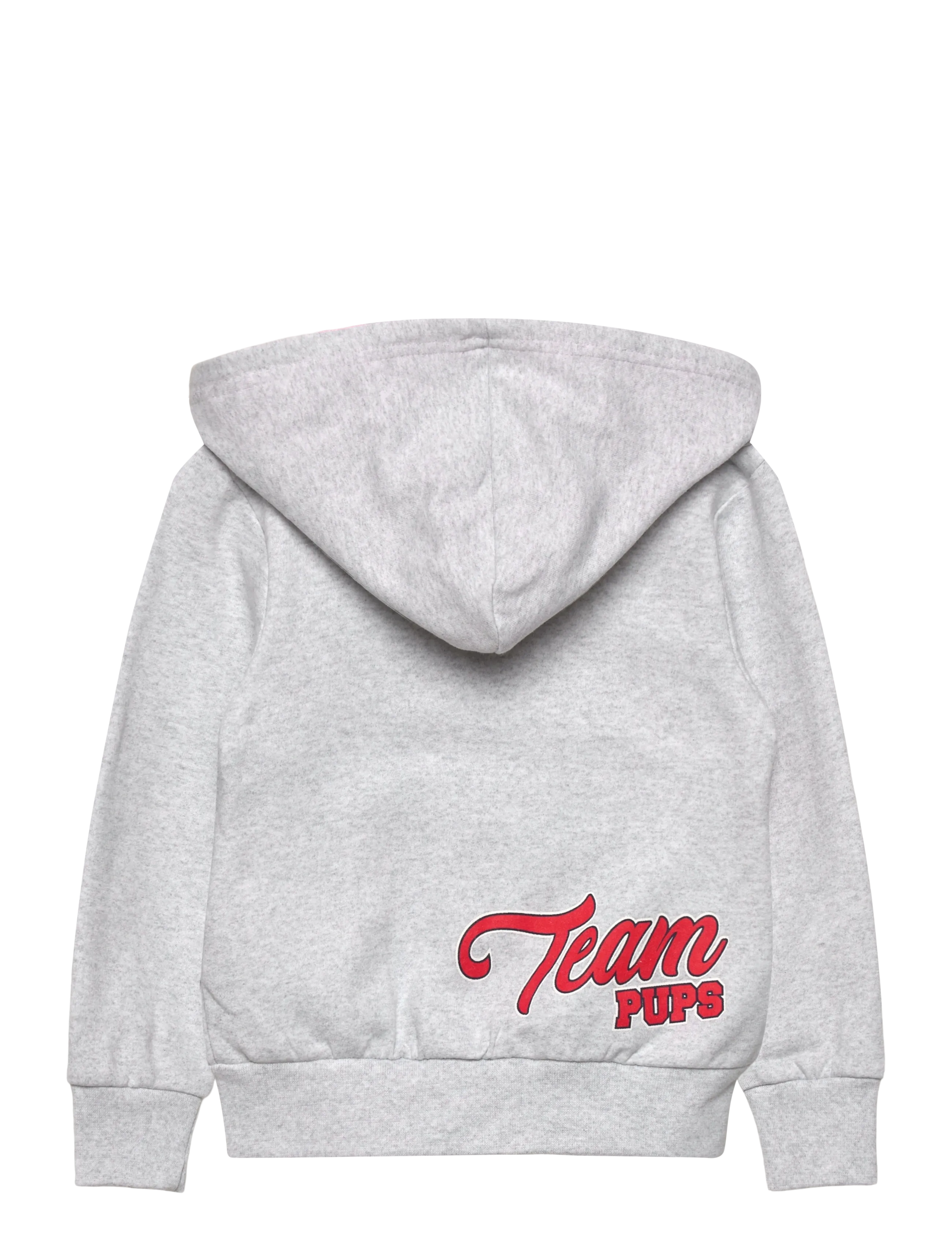 Paw Patrol - SWEATS - hoodies - lgrey - 1