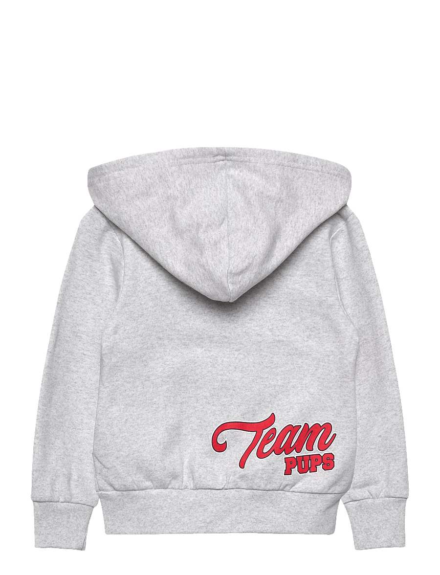 Paw Patrol - SWEATS - hoodies - lgrey - 2