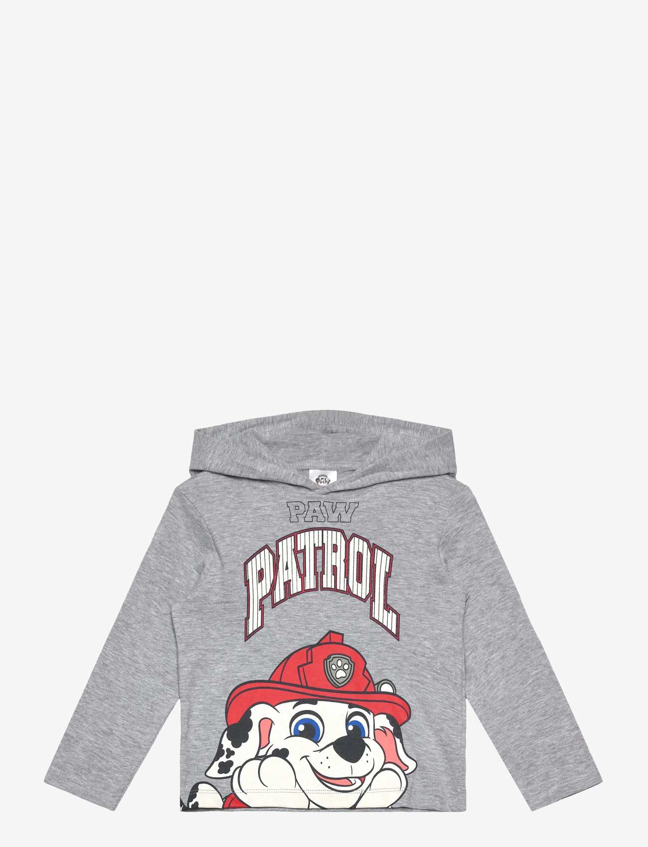 Paw Patrol - TSHIRT - herbstliche kleidung - lgrey - 0