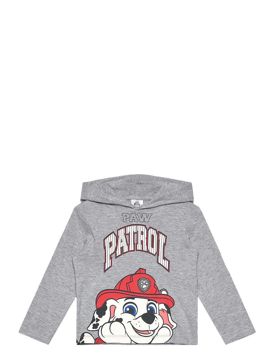 Paw Patrol - TSHIRT - huvtröjor - lgrey - 0