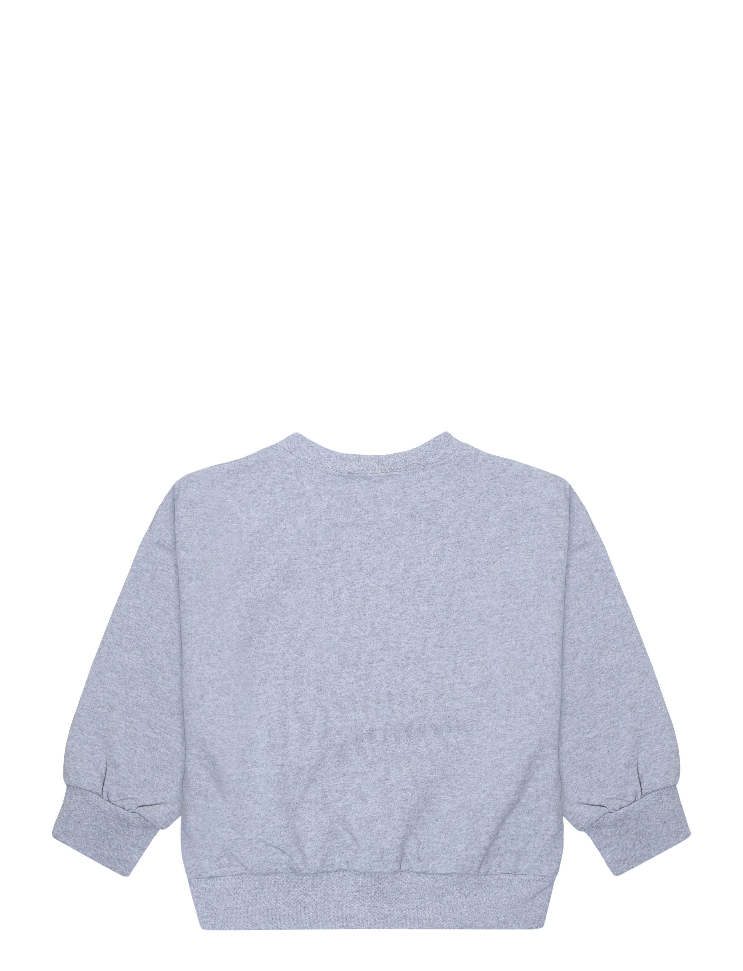 Paw Patrol - SWEATS - lgrey - 1