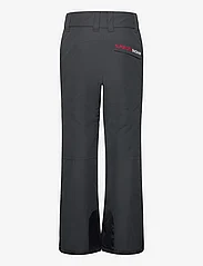 Superdry Sport - FREESTYLE CORE SKI TROUSERS - skiing pants - black - 2