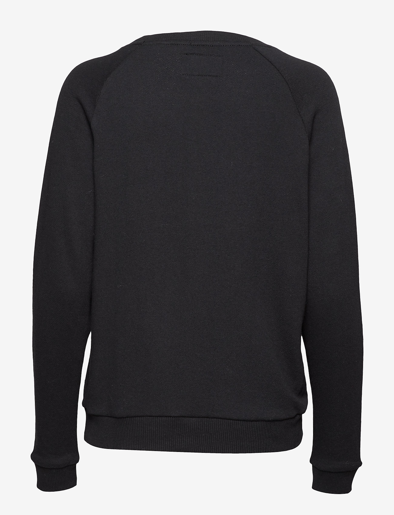 Superdry - APPLIQUE RAGLAN CREW - black - 1