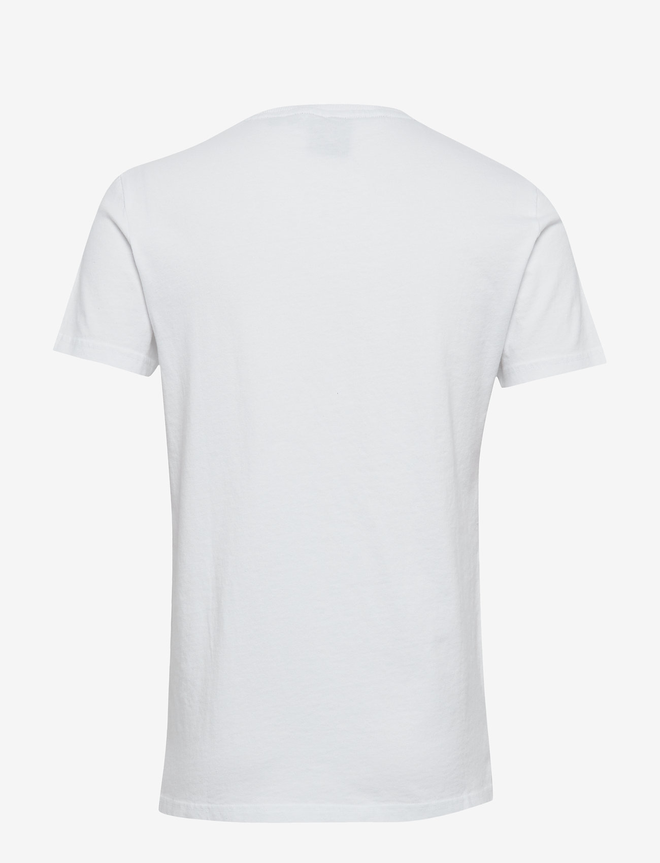 Superdry - CHROMATIC TEE - optic - 1