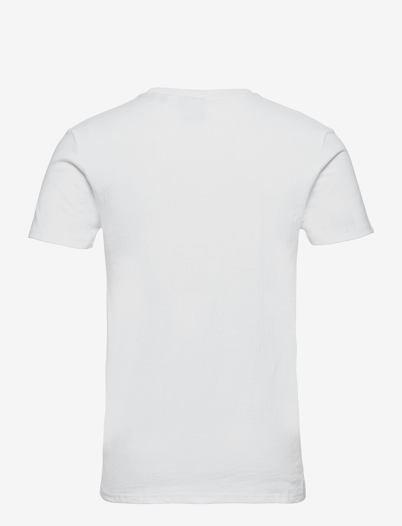 Superdry - VL RISING SUN TEE - optic - 1