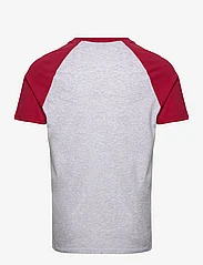 Superdry - VINTAGE HOME RUN RAGLAN TEE - kortärmade t-shirts - glacier grey marl/red - 1