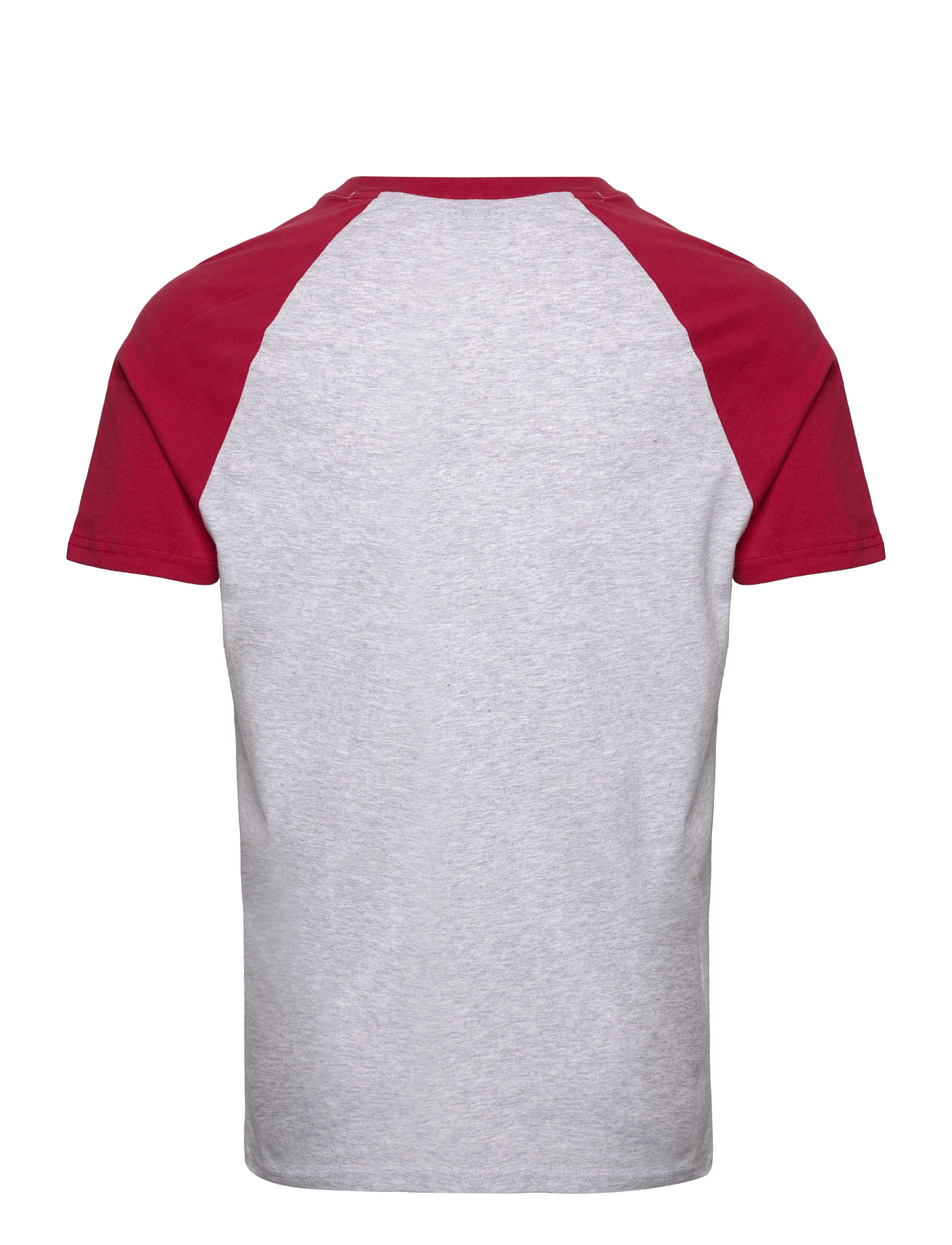 Superdry - VINTAGE HOME RUN RAGLAN TEE - glacier grey marl/red - 1