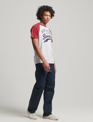Superdry - VINTAGE HOME RUN RAGLAN TEE - t-shirts à manches courtes - glacier grey marl/red - 0