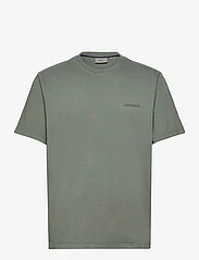 Superdry - OVERDYED LOGO LOOSE TEE - basic t-shirts - balsam green - 0