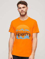 Superdry - GREAT OUTDOORS NR GRAPHIC TEE - kortärmade t-shirts - sunblast orange - 3