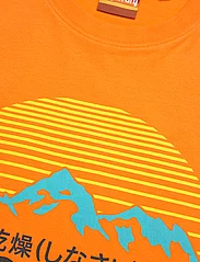 Superdry - GREAT OUTDOORS NR GRAPHIC TEE - kortärmade t-shirts - sunblast orange - 2
