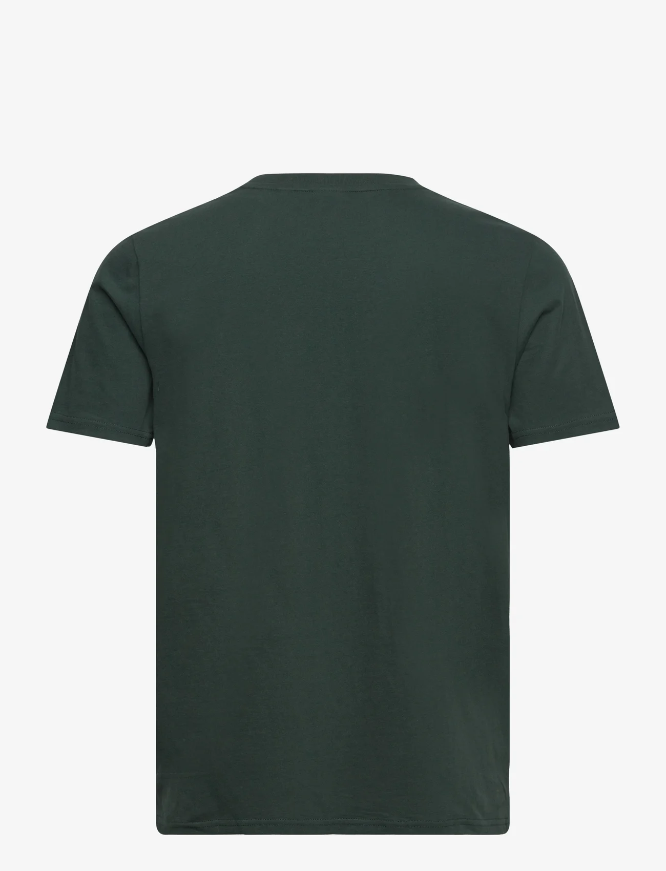 Superdry - NEON VL T SHIRT - lowest prices - enamel green - 1