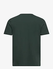 Superdry - NEON VL T SHIRT - kortärmade t-shirts - enamel green - 1