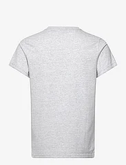 Superdry - CLASSIC VL HERITAGE CHEST TEE - t-shirts à manches courtes - flake grey marl - 2