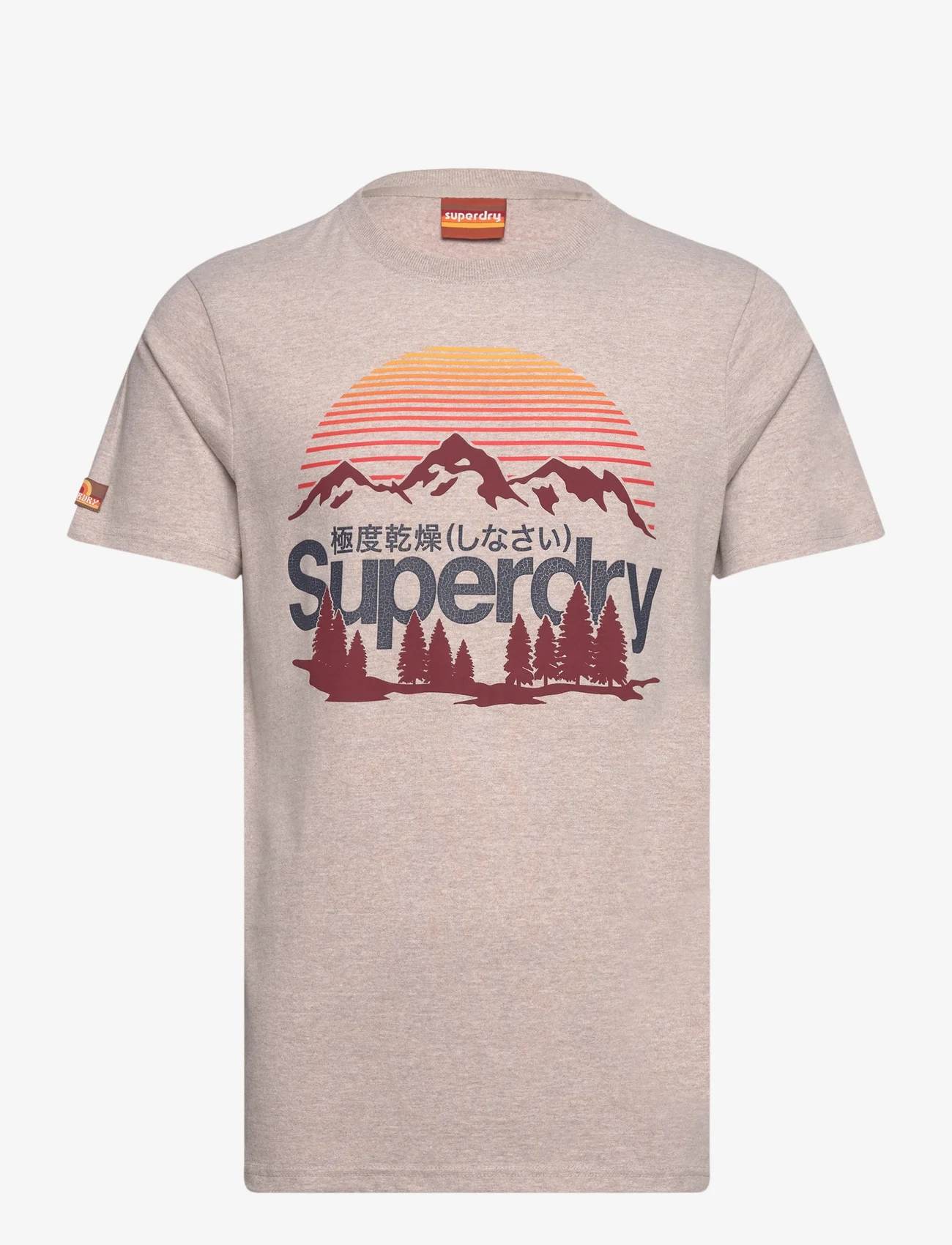 Superdry - GREAT OUTDOORS GRAPHIC T-SHIRT - laveste priser - lavin beige marl - 0