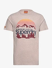Superdry - GREAT OUTDOORS GRAPHIC T-SHIRT - laveste priser - lavin beige marl - 0