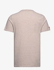Superdry - GREAT OUTDOORS GRAPHIC T-SHIRT - kortärmade t-shirts - lavin beige marl - 1