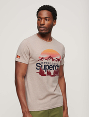 Superdry - GREAT OUTDOORS GRAPHIC T-SHIRT - kortärmade t-shirts - lavin beige marl - 3