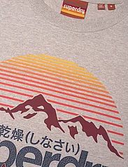Superdry - GREAT OUTDOORS GRAPHIC T-SHIRT - kortärmade t-shirts - lavin beige marl - 2
