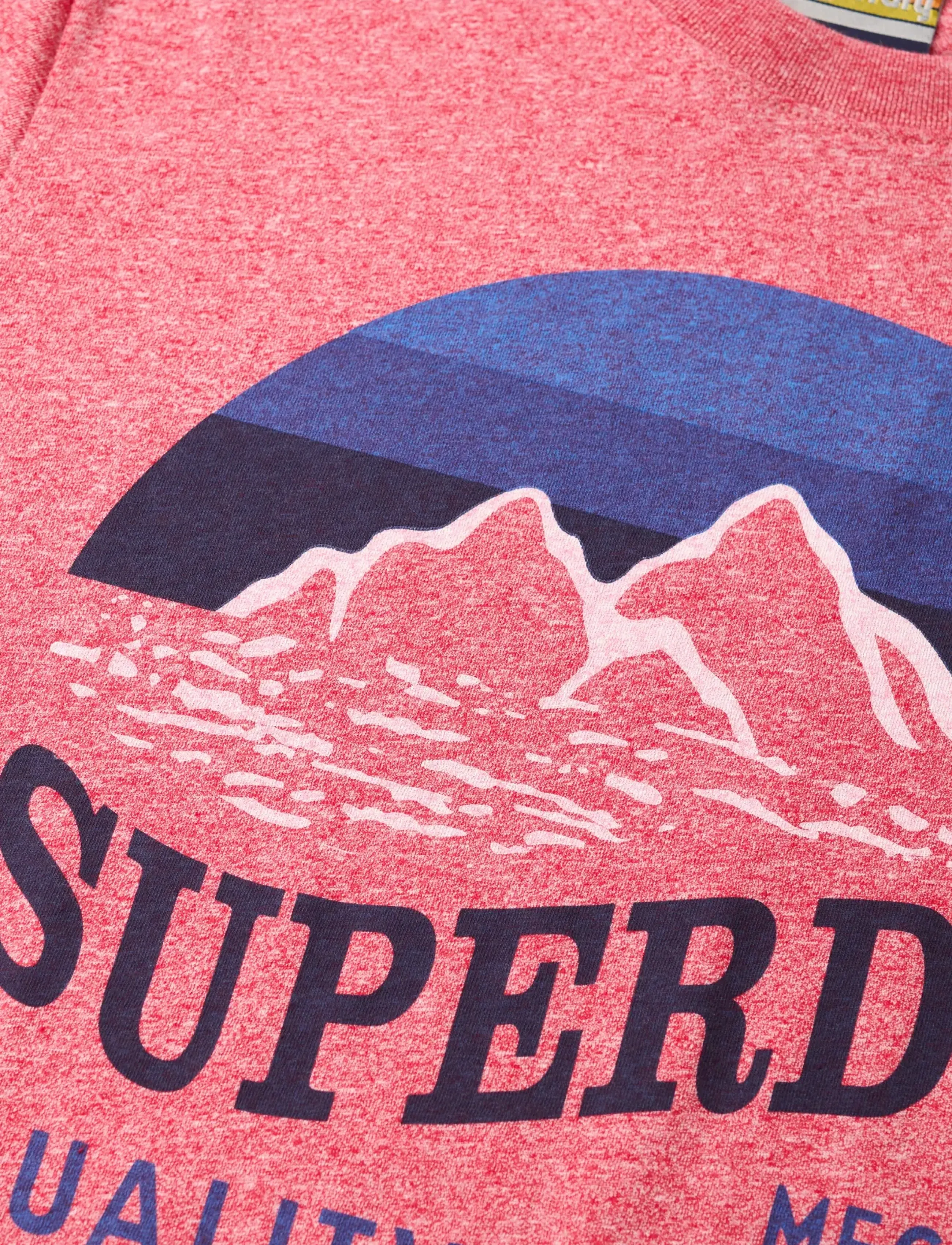 Superdry - CL GREAT OUTDOORS RELAXED TEE - kortærmede t-shirts - monroe red grit - 5