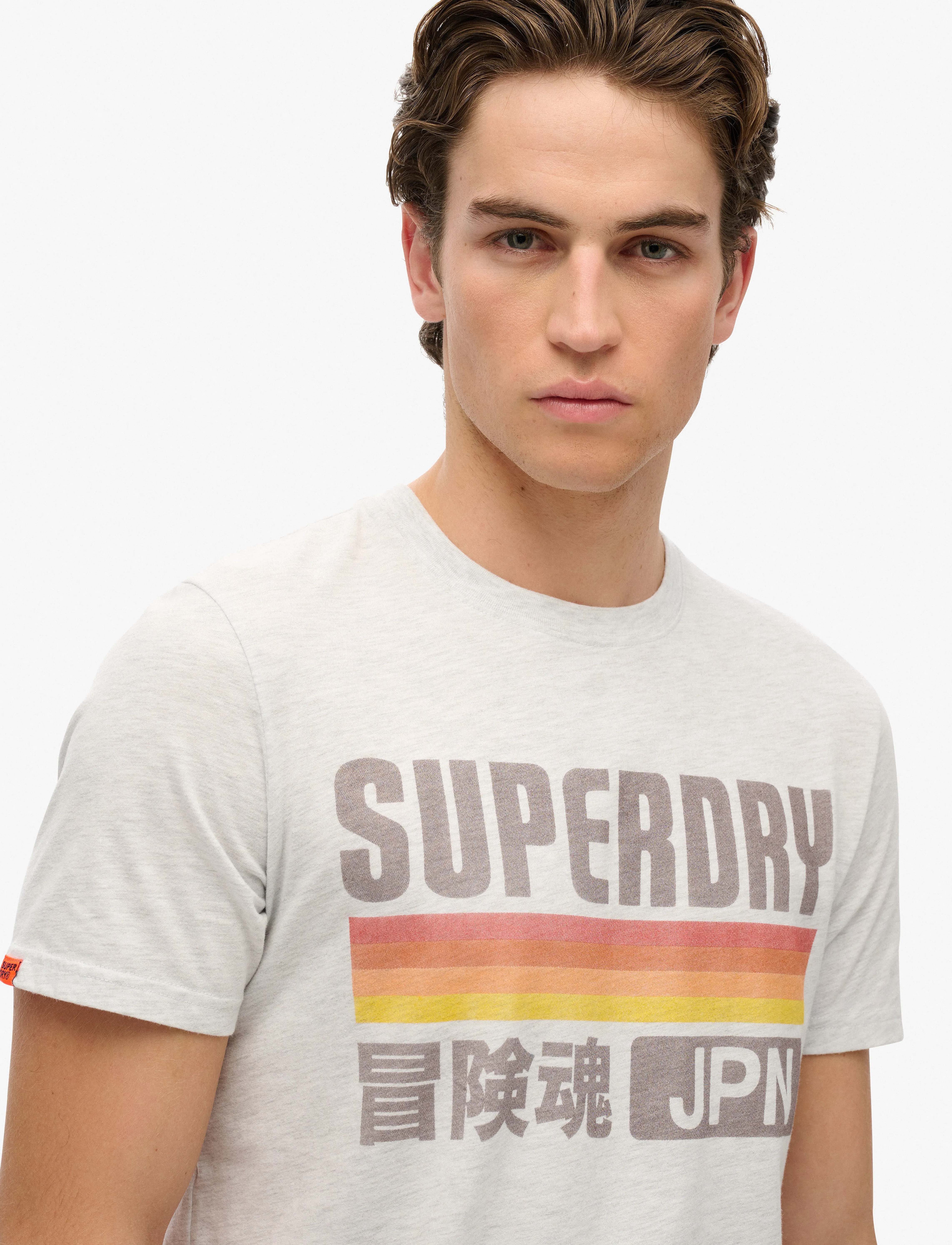 Superdry - JAPAN STRIPE RELAXED TEE - ice grey marl - 2