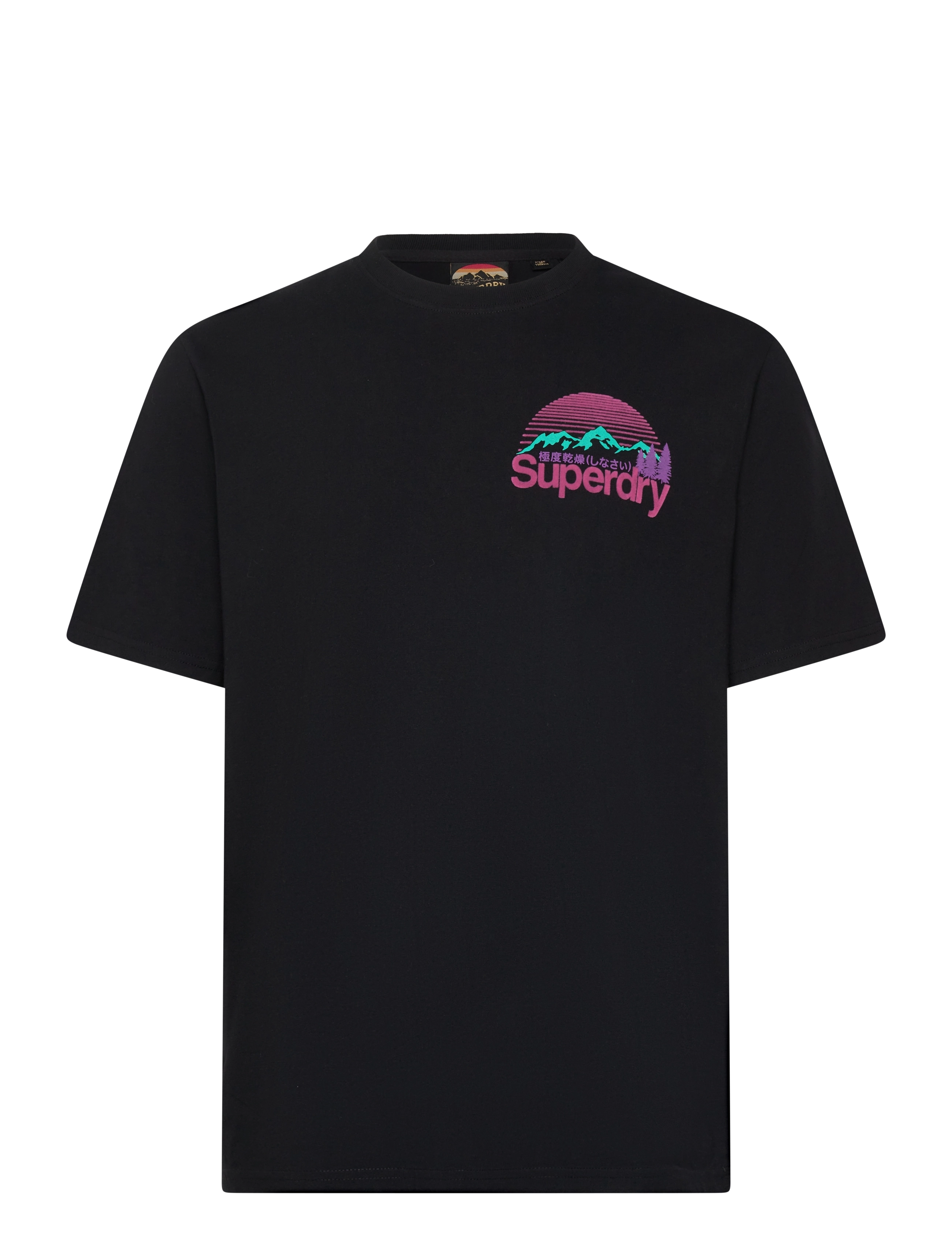 Superdry CL GREAT OUTDOORS CHEST TEE - Superdry - BLACK / black