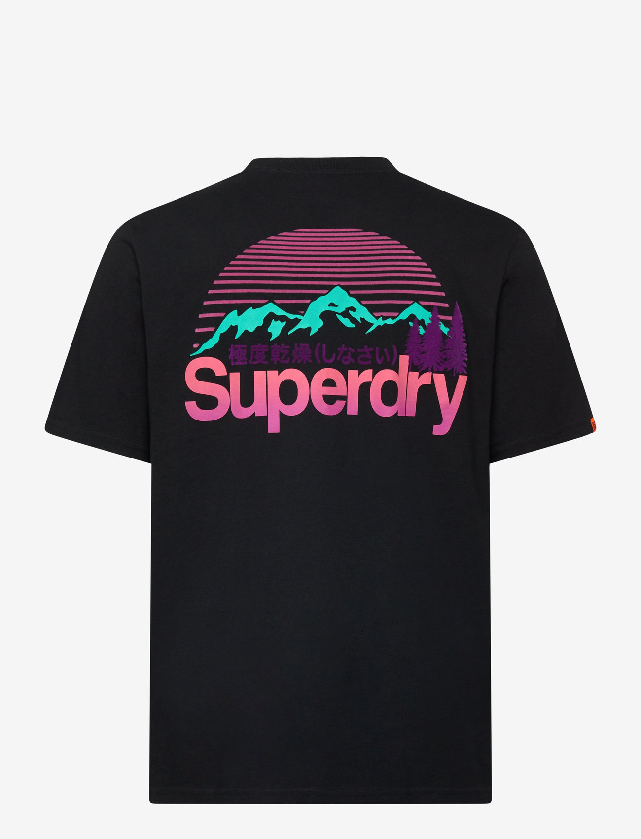 Superdry - CL GREAT OUTDOORS CHEST TEE - kortærmede t-shirts - black - 2