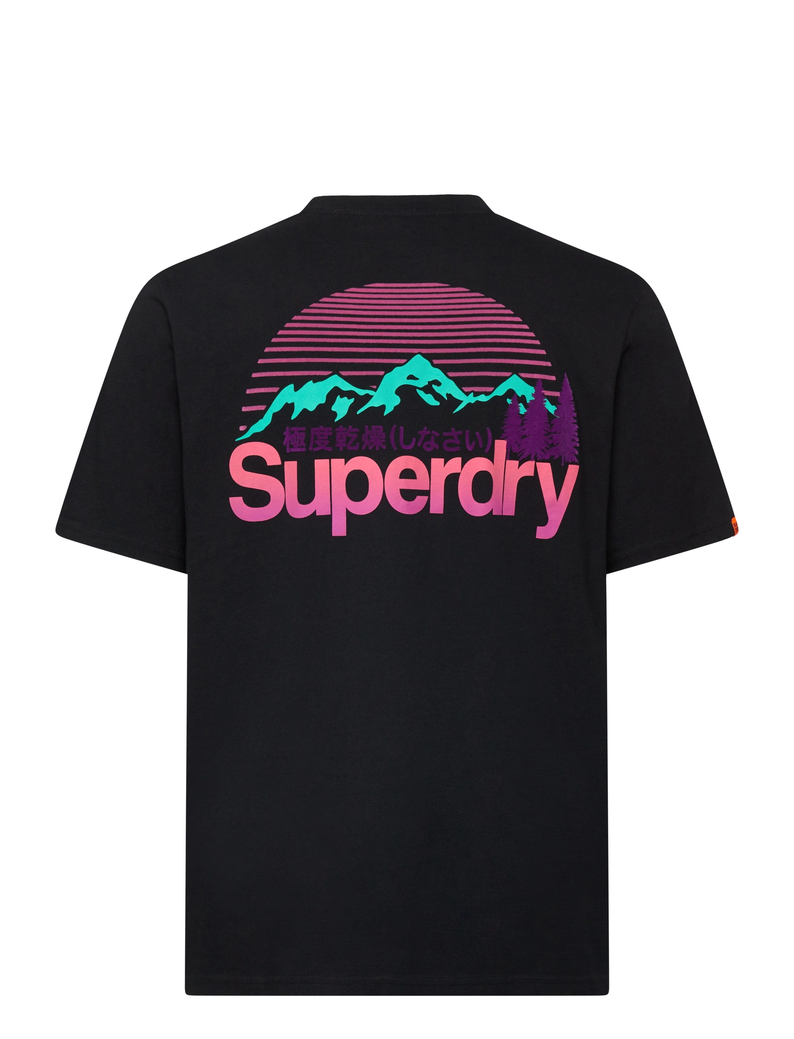 Superdry - CL GREAT OUTDOORS CHEST TEE - kortärmade t-shirts - black - 2