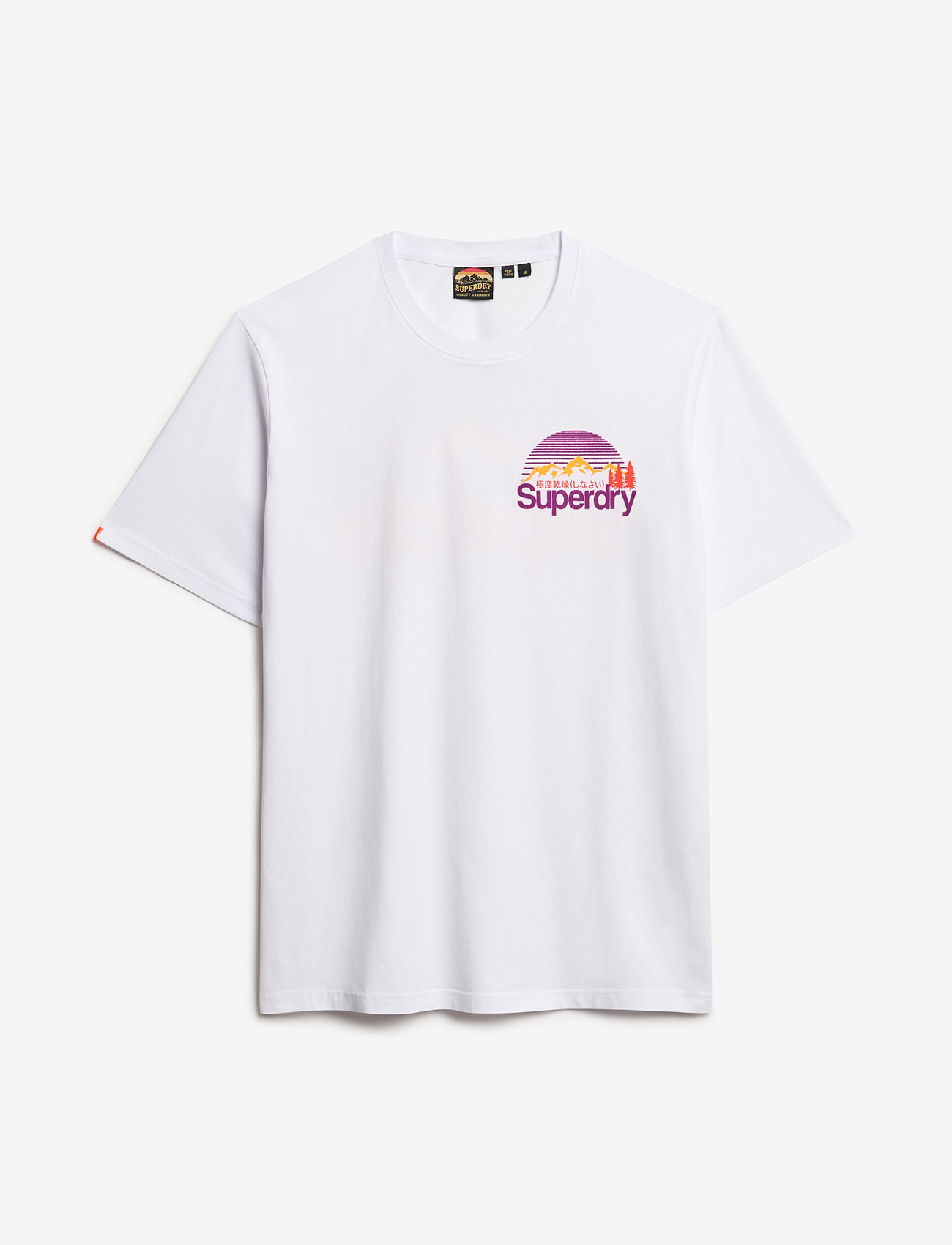 Superdry - CL GREAT OUTDOORS CHEST TEE - kortärmade t-shirts - optic - 1