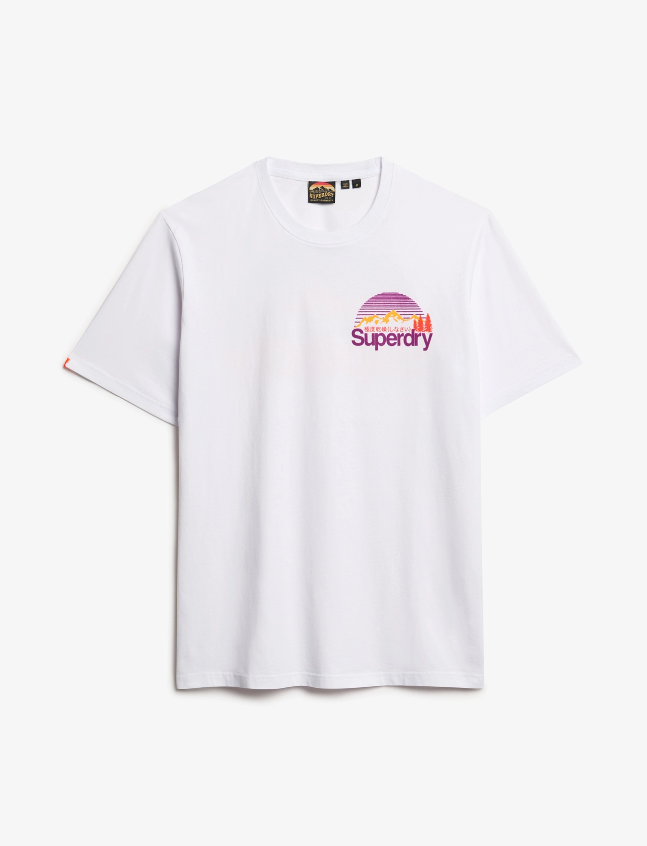 Superdry CL GREAT OUTDOORS CHEST TEE - T-Shirts - OPTIC / white