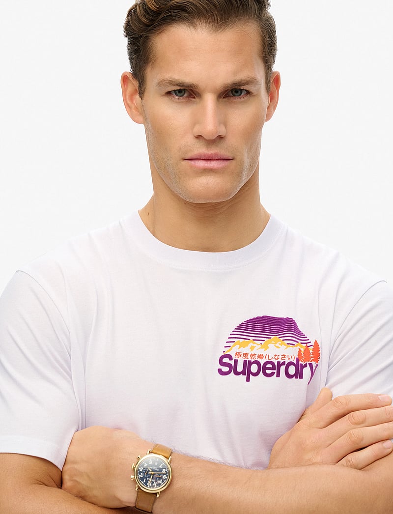 Superdry - CL GREAT OUTDOORS CHEST TEE - kortärmade t-shirts - optic - 4